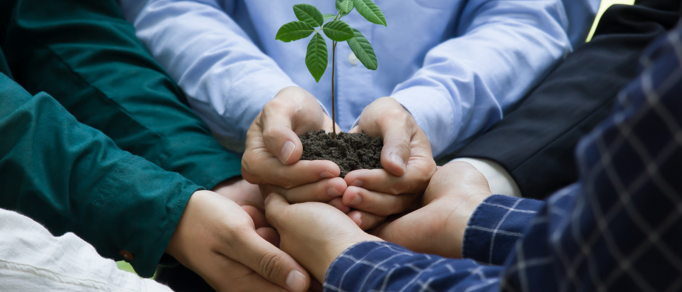 Collaboration for net-zero tree planting: Government, private sector, and public joining forces for environmentally conscious business.